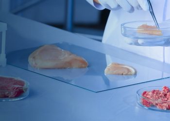 Cellular Agriculture: The Future of Meat Without Harm