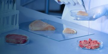 Cellular Agriculture: The Future of Meat Without Harm