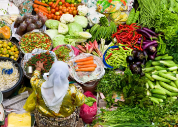 The Future of Food: A Rapidly Evolving Field