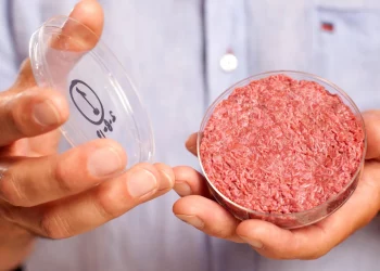 Commercializing Cultivated Meat: Paving the Way for the Future of Food Production