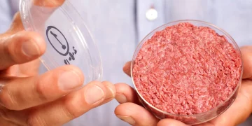 Commercializing Cultivated Meat: Paving the Way for the Future of Food Production
