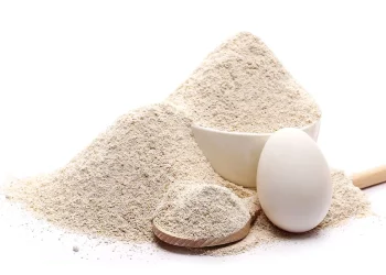 Insect Protein and Other Alternative Proteins: A Key Solution for Global Food Security in the Future