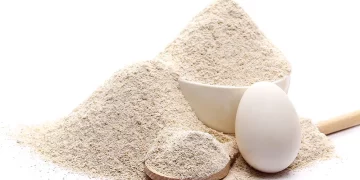 Insect Protein and Other Alternative Proteins: A Key Solution for Global Food Security in the Future