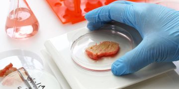 Cellular Agriculture and Cultured Meat: The Future of Sustainable Food Production