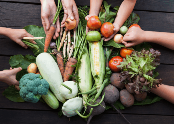 Sustainable Innovation: Shaping the Future Food Ecosystem