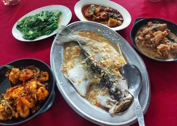 Expert Advice and City Food Guides: Essential Tools for Modern Travelers