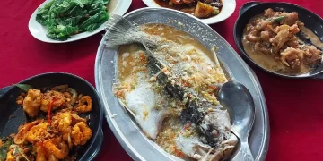 Expert Advice and City Food Guides: Essential Tools for Modern Travelers