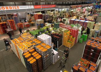 Markets as Microcosms of Local Ingredients and Traditional Culture: A Traveler’s Guide to Understanding Local Cuisine