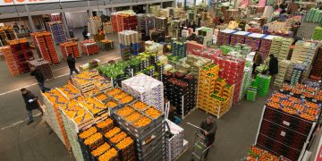 Markets as Microcosms of Local Ingredients and Traditional Culture: A Traveler’s Guide to Understanding Local Cuisine