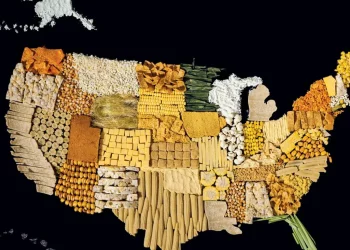 Food Maps and Local Ingredient Adventures: Exploring Culinary Treasures Around the Globe