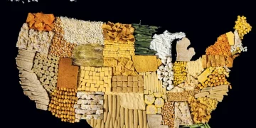 Food Maps and Local Ingredient Adventures: Exploring Culinary Treasures Around the Globe