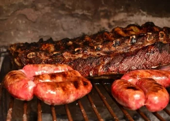 Mendoza, Argentina: Renowned for Its Delicious Asado and Premium Malbec Wine