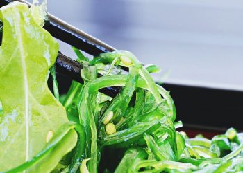 Algae and Seaweed: The Future of Sustainable Food Ingredients