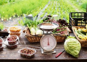 The Rise of Sustainable Dining in Western Countries: A Shift Toward Veganism, Farm-to-Table, and Eco-Friendly Practices