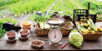 The Rise of Sustainable Dining in Western Countries: A Shift Toward Veganism, Farm-to-Table, and Eco-Friendly Practices