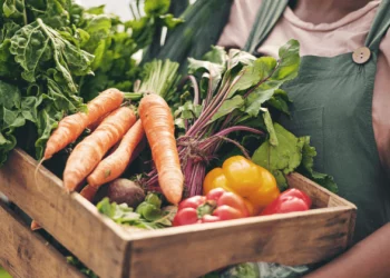 Many Innovations Are Driving the Food Industry Toward Greater Environmental and Sustainable Practices