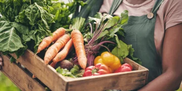 Many Innovations Are Driving the Food Industry Toward Greater Environmental and Sustainable Practices