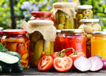 Fermentation Technology in Food: Innovating New Protein Sources Through Microbial Fermentation